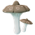 Mottled Tar Spot Fungus