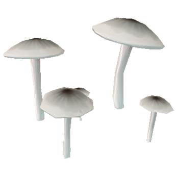 Tinted-Burst Fungus - Stale Turquoise