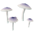 Tinted-Burst Fungus