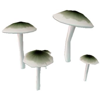 Tinted-Burst Fungus - Shadow Green
