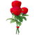 Bouquet amoureux
