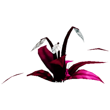 Shadow Fuchsia